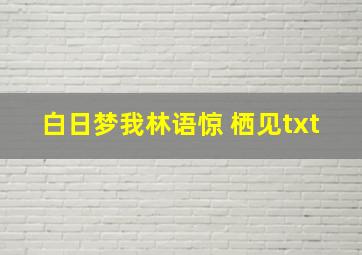 白日梦我林语惊 栖见txt